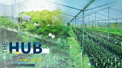 China's new agricultural code and the breed of new farmers