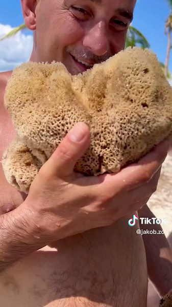 Exploring the World of Pali Language