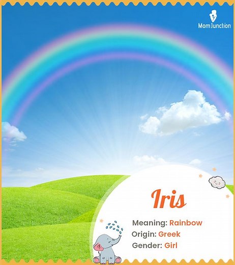 Iris Name, Meaning, Origin, History, And Popularity