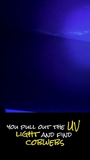 STOP Missing Hidden Cobwebs with This Simple UV Light Trick