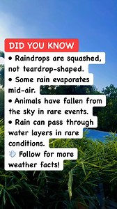 16K views · 203 reactions | Rain & Weather Oddities You Won’t Believe #WeatherInfo #EarthFacts #NatureTrivia | Learners | Facebook