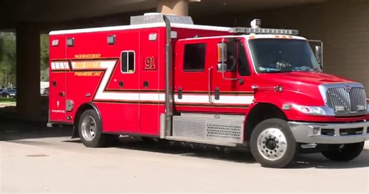 Heat causes surge in hospital visits, fatal to some pets