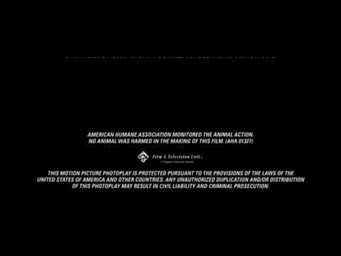 Paramount Pictures Distribution / DreamWorks Animation SKG (2007)
