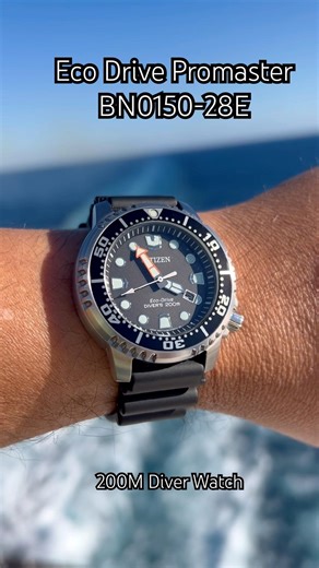 My beautiful Eco Drive. Ready to dive.