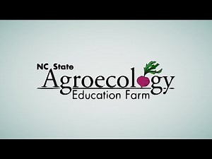 Welcome to the Agroecology Education Farm