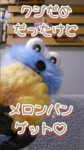 一番クジだめだったけどメロンパンゲットでご機嫌うちの手作りスンスン😆#パペットスンスン #スンスン #かわいい #癒し #一番くじ #メロンパン