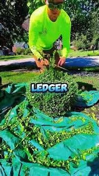 Mom Sent A Message We No Longer Trust You. I Respond, Understood...