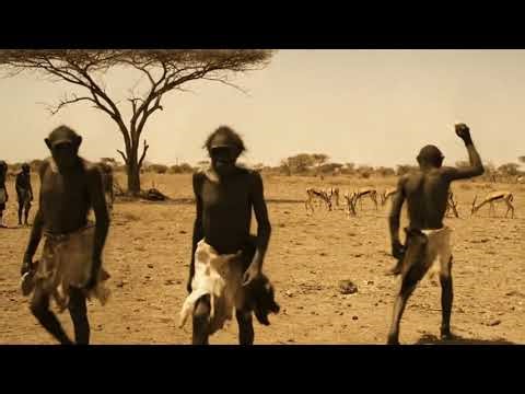 Life 4.2 million years ago | Australopithecus life story of human evolution?