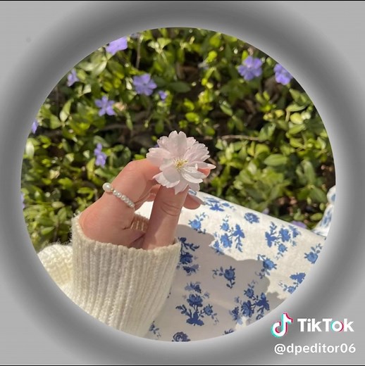 Beautiful Flower Displays for Your Profile