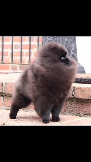 Tony Cabrera on Reels