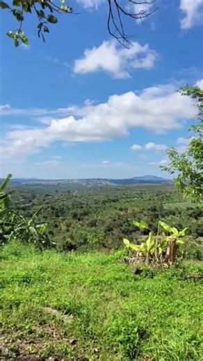 S20 fe Zoom test