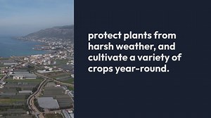 Greenhouse Gardening