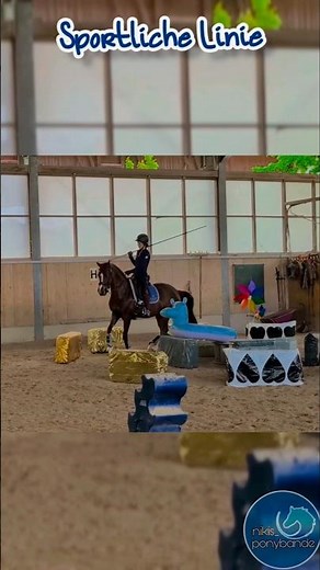 Working Equitation Training: vom Sprung in den Pferch 🐎. #nikisponybande #workingequitation