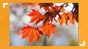 Fall colors will near peak in northern Ohio this weekend