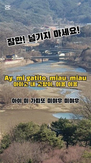 Montagem miau funk 한국어 발음