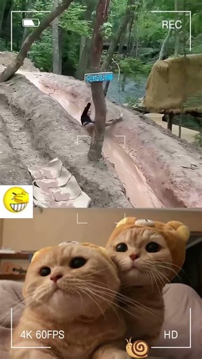 This is so funny, l couldn't stop laughing #funny #funnyvideos#duet #foryou #pov #viral
