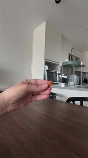 Captivating Parrot Photography Tips