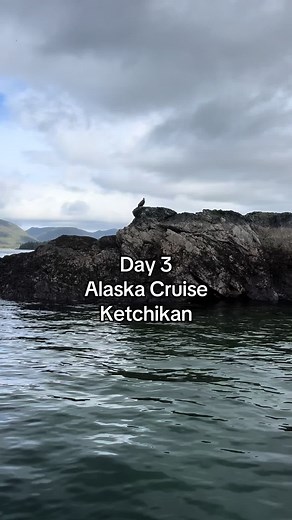 Coastal Wildlife Cruise Adventure in Ketchikan, Alaska