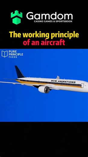Pure Principle Feeds on Instagram: "✈️ How does an aircraft actually fly? ⠀ It all comes down to aerodynamics + physics: 👉 Aircraft wings are designed with a curved top and flat bottom. 👉 As air moves faster over the top and slower underneath, pressure drops above and stays higher below. 👉 This pressure difference creates lift, pulling the plane into the sky. 🌍 👉 Engines provide thrust, while wings + tail balance drag and stability. ⠀ So next time you look up, remember: planes fly not by ma