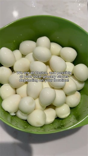 Answering Quail Egg FAQs ❔