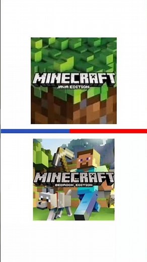 The difference between Minecraft java and Minecraft bedrock. #minecraft