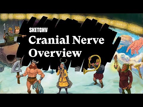 Memorizing the Cranial Nerves (Full Lesson) | Sketchy Medical | USMLE Step 1