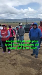 27K views · 178 reactions | Aseguranza de vida para todos los trabajadores del campo llamele a Jose Rigo Renteria al (831)710-5059. | Miguel Pelayo | Facebook
