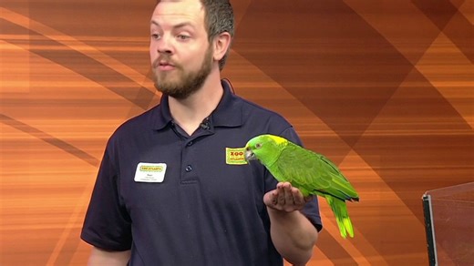 Zoo Atlanta talks about upcoming events