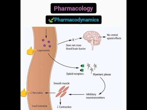Branches And Divisions Of Pharmacology | Part 1 | Easy Explanation | Dr Qurat-Ul-Ain 