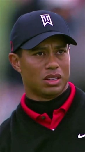 Tiger woods needs birdie to win by 8 shots