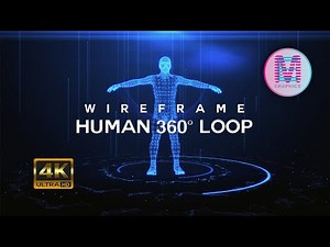 360° Wireframe Human Body