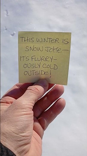 Winter Pun #shortsvideo #puns #joke #winter #ice #cold #freezing #belowzero