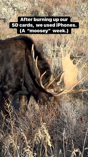Michael Rutter on Reels