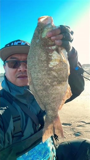 Catching a GIANT Barred Surfperch with Lucky Craft Lures