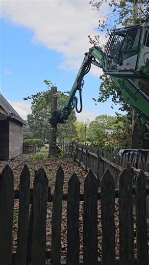 Removal of Dying Sycamore. For Historic St Mary's City MD #workhard #playhard #tree #usa #sennebogen718e | Tri-County Tree Service