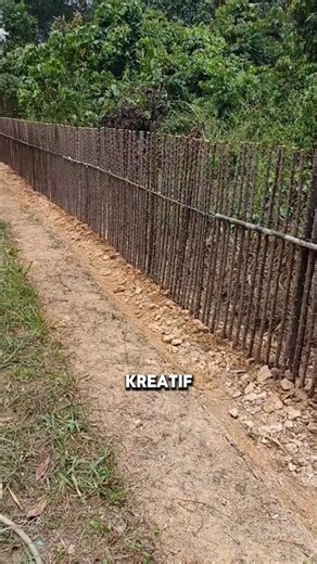 Pagar Tanaman Dari Batang Singkong #shorts