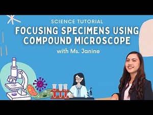 FOCUSING SPECIMENS USING COMPOUND MICROSCOPE