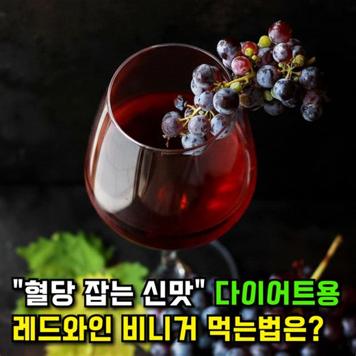 "혈당 잡는 신맛" 레드와인 비니거 효능 섭취방법 (식초 다이어트 먹는법)
