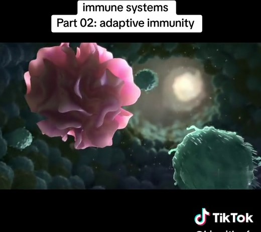 Understanding Adaptive Immunity: The Role of Dendritic Cells
