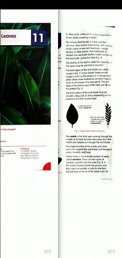 Grade 6 science text book volume 2 xseed