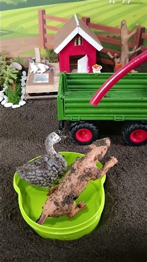 Big Tub for Tiger, Tiny Cup for Bird! 🐯🐦 Bath Prep ASMR - DIY Mini Farm