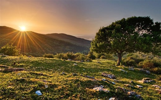 《意大利语语法》－人称代词