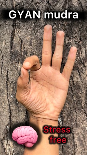Yogacharya Ankit kukreti on Instagram: "Mudras for better health- . . . . . . . . . . . #yogateacher #yogaposes #yogaeveryday #yogaeverywhere #yogalove"