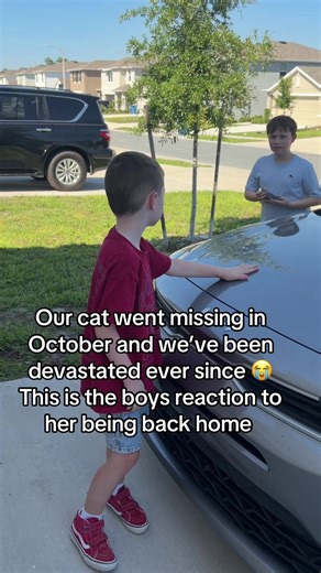 She went to get “spayed” by the people who took her in. Little did they know we’ve been looking all along.. also she was already spayed 😂😂 this is your sign to get your animals microchipped. We thought the coyotes got her. So grateful we have our baby back #foryou #fyp #catsoftiktok #ourbaby