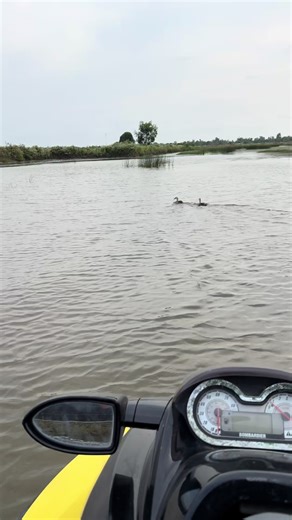 Video của Sam Hoang Gia (@duythien20) về 360 camera