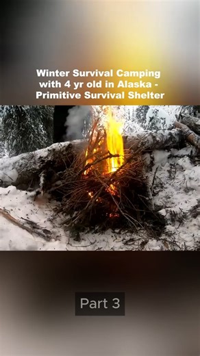 39K views · 414 reactions | Part 3 Winter Survival Camping with 4 yr old in Alaska Primitive Survival Shelter #survival#shelter#outdoorboys#camping#lukenichols | OutdoorBoy | Facebook