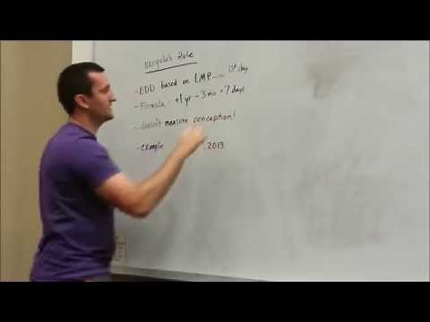 Naegele's Rule - How to Calculate Your Due Date