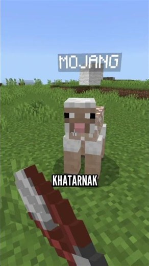 Ols Players Knows About It! #minecraft #minecraftfacts #gaming