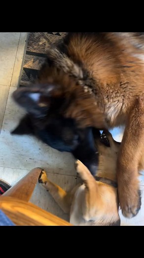 Ray Runnels on Reels