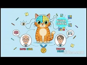 Nobel Prize Winning Vision Experiment - Hubel & Wiesel (Animated Explanation)